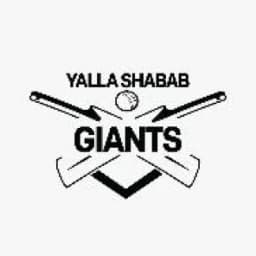 Team logo