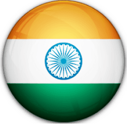 Team logo
