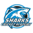 Sharks Cricket Academy-logo