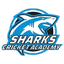 Sharks Cricket Academy Flag