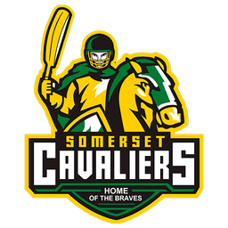 Team logo
