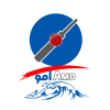Team logo