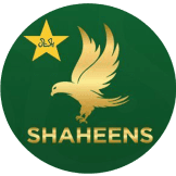 Team logo