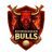 Bhimavaram Bulls Flag