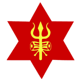 Team logo