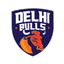 Delhi Bulls Flag