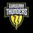 Gurugram Thunders-logo
